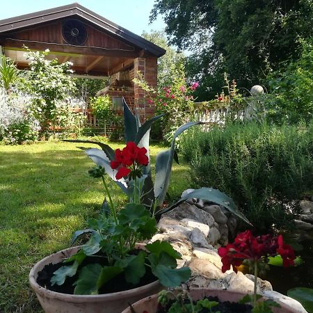 Apartment Cajt Umag Eksteriør bilde