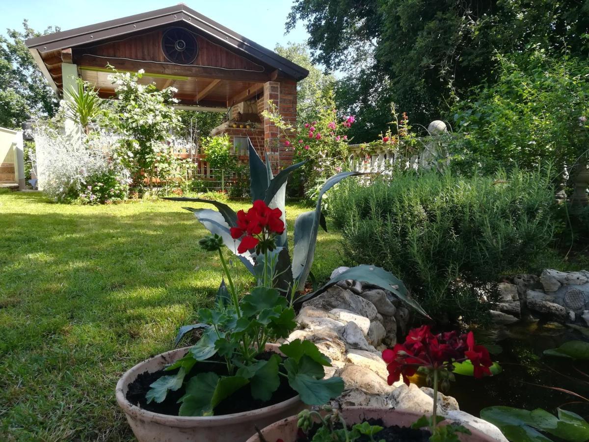 Apartment Cajt Umag Eksteriør bilde